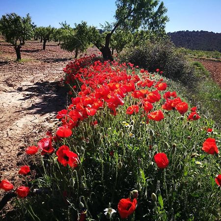 Cortijo Los Soledad El Sauco Екстер'єр фото