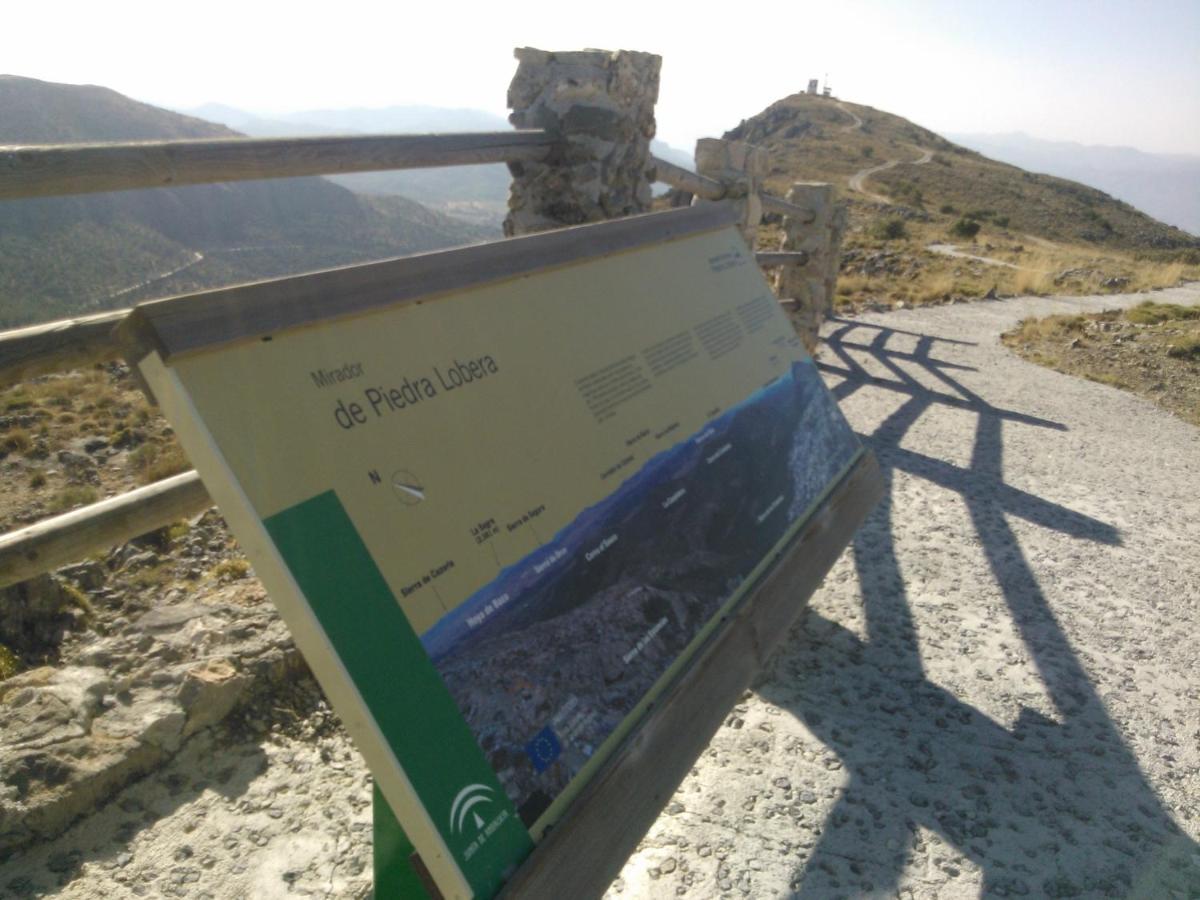 Cortijo Los Soledad El Sauco Екстер'єр фото