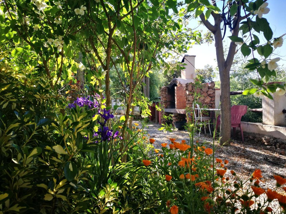 Cortijo Los Soledad El Sauco Екстер'єр фото