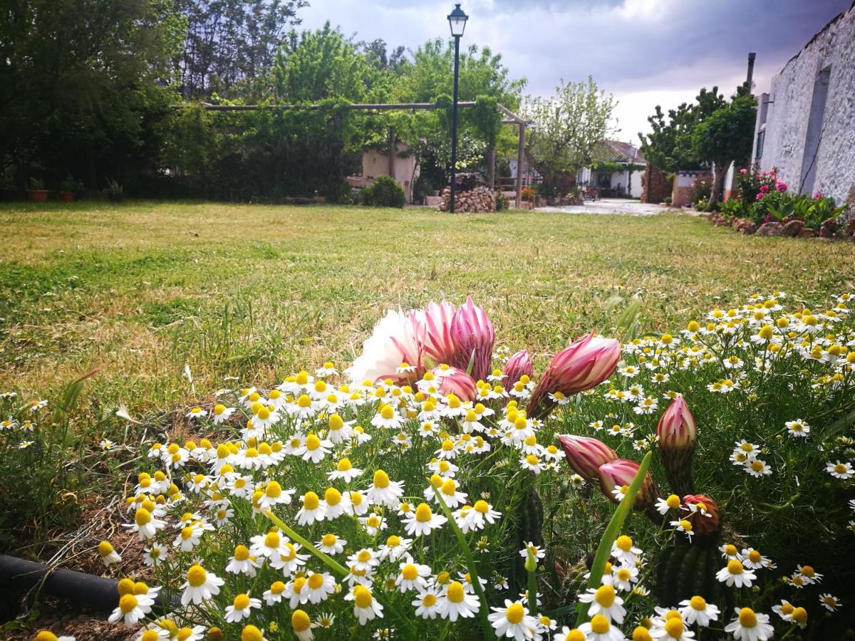 Cortijo Los Soledad El Sauco Екстер'єр фото