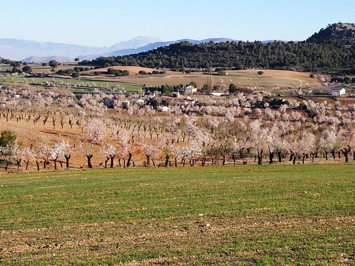 Cortijo Los Soledad El Sauco Екстер'єр фото