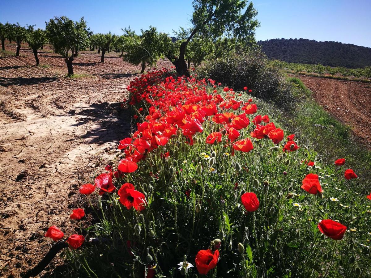 Cortijo Los Soledad El Sauco Екстер'єр фото