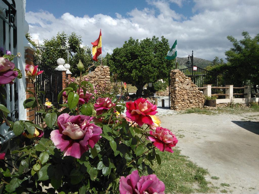 Cortijo Los Soledad El Sauco Екстер'єр фото