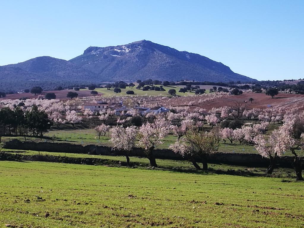 Cortijo Los Soledad El Sauco Екстер'єр фото