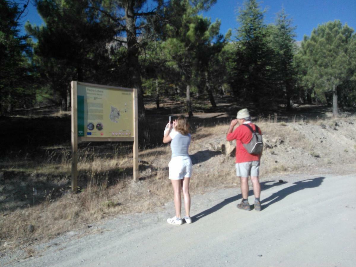 Cortijo Los Soledad El Sauco Екстер'єр фото